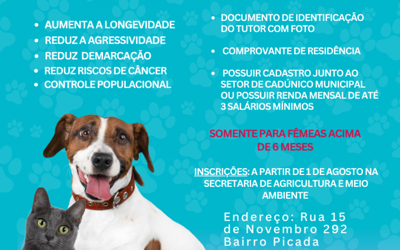 Prefeitura de Barra do Ribeiro Inicia Programa de Castração de Animais