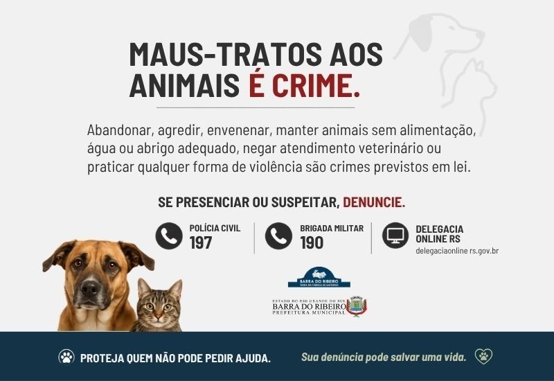 Maus tratos aos animais