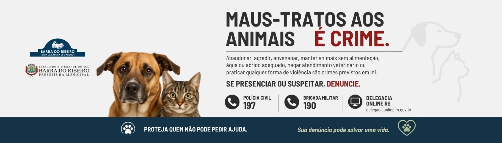 Maus tratos aos animais
