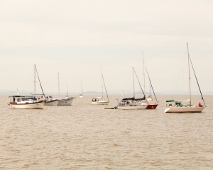 img3661.jpg