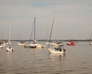 img4059.jpg