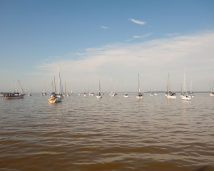 img4064.jpg