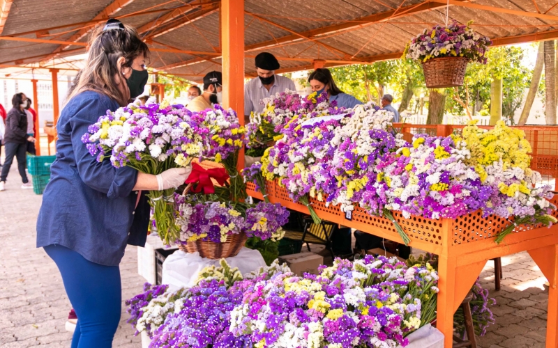 Feira do Produtor