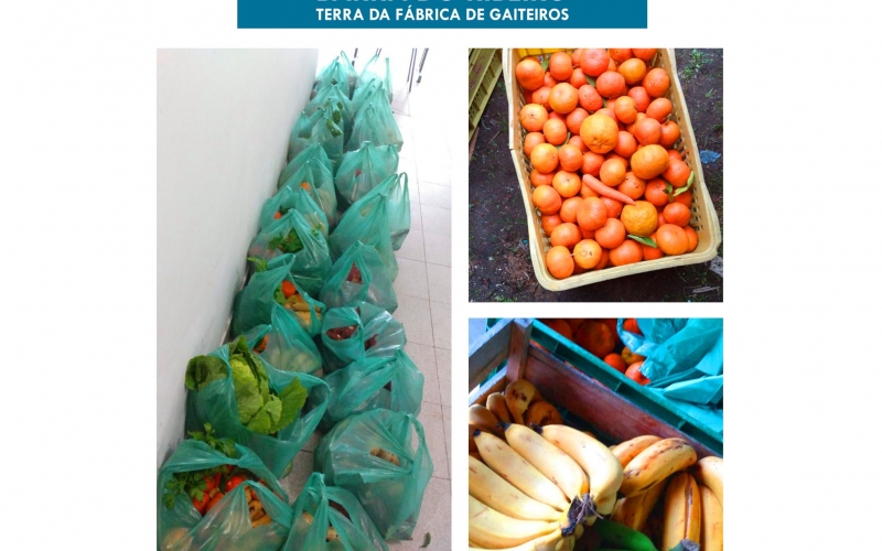 PAA – Programa de Aquisição de Alimentos
