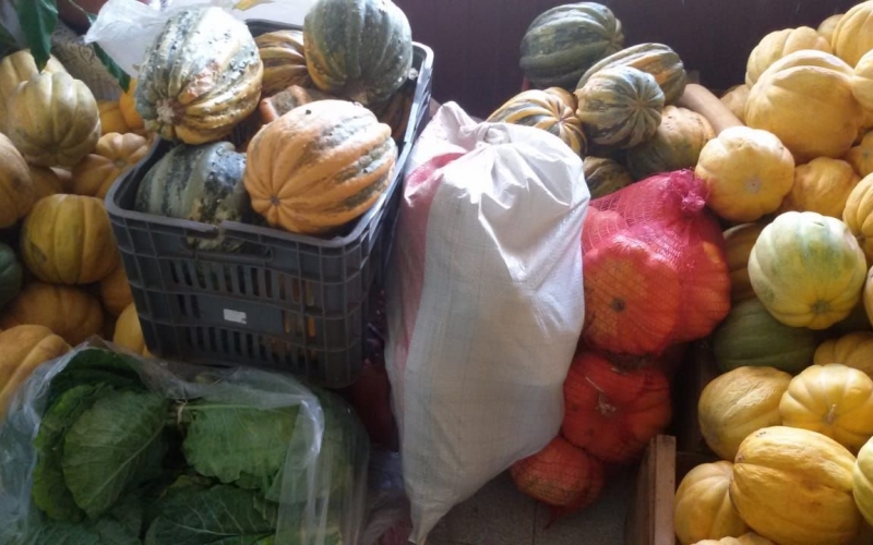 Entrega do PAA – Programa de Aquisição de Alimentos